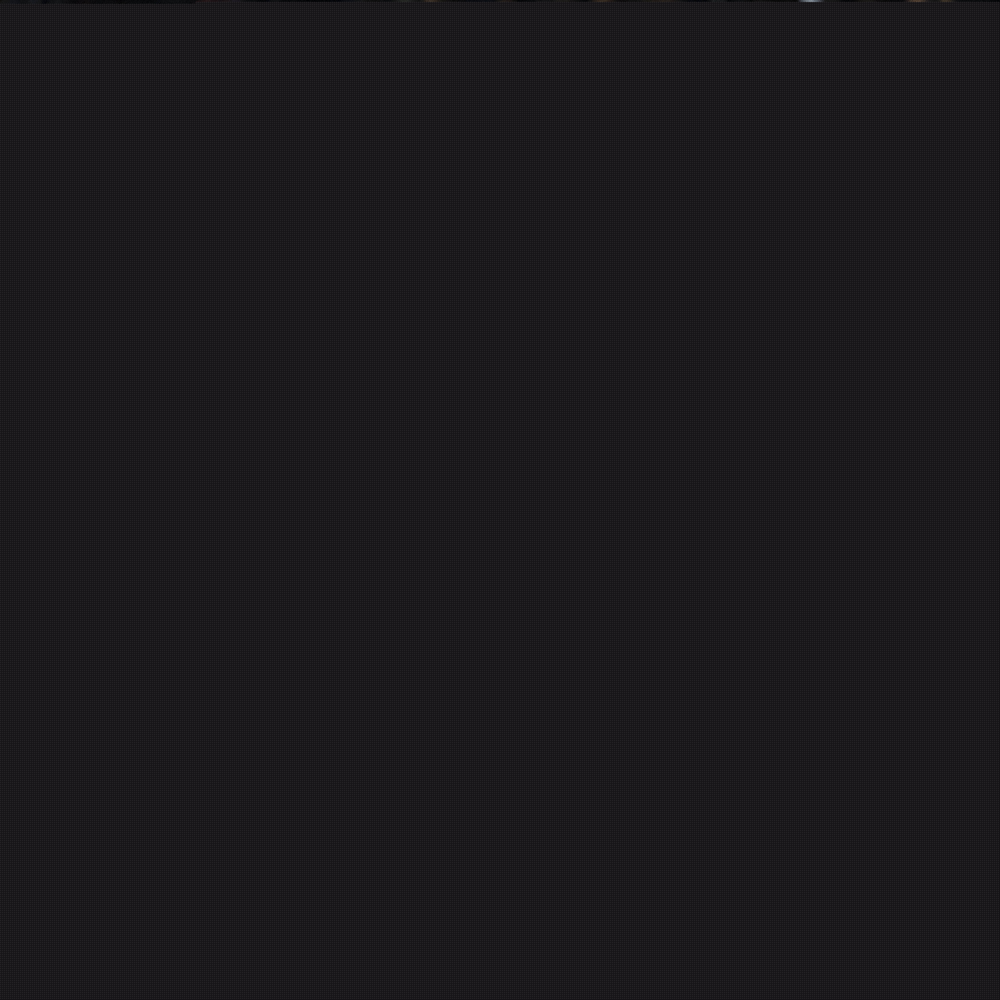 重大机会的
